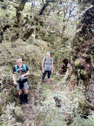 Tramping through thick vegetation