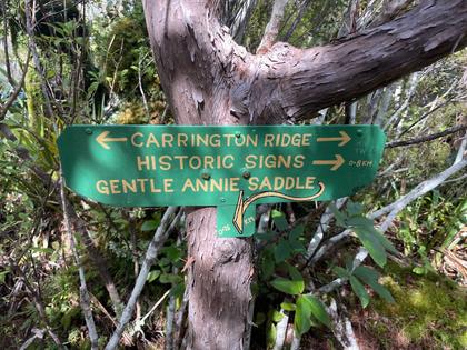 Signs pointing to signs on the old track over the Gentle Annie Saddle. (Credit: Emily)