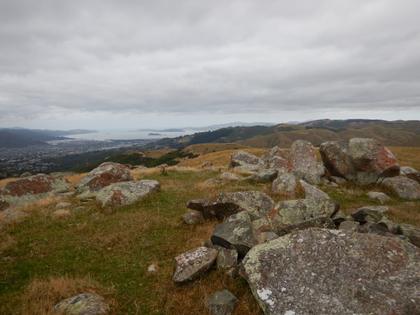 Looking across rocky hills to Wellington harbour