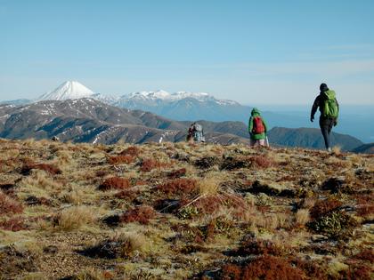 Kaimanawa Range