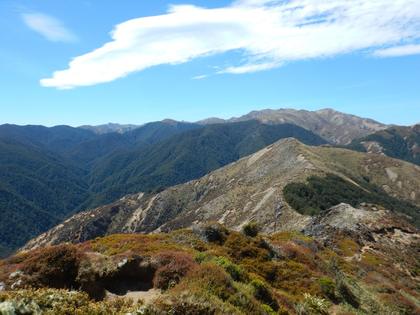 Looking towards Kaweka J in the far distance