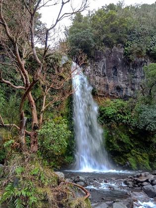 Dawson Falls