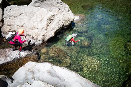 Another swim needed in the Waiohine Gorge