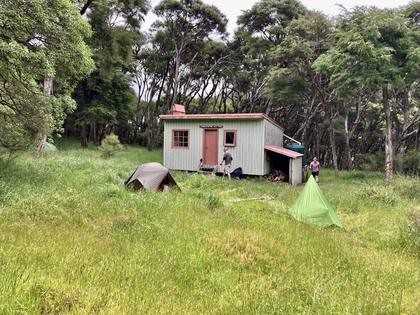 Mangatoetoe Hut