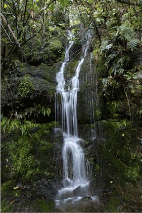 One of the waterfalls on the Devils Creek track [Lynsey].