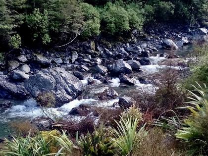 A paradise for Whio – who remained elusive to our group. (Photo by Tony)