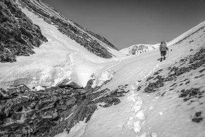 Avalanche debris in Stumpy Stream