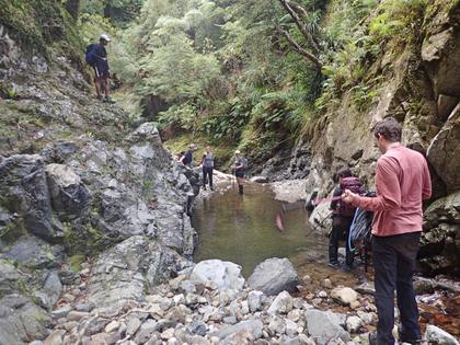 Turere Stream
