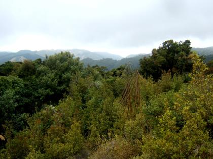 DSCF0951
