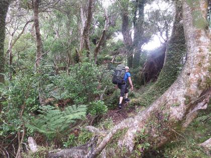 Kapakapanui