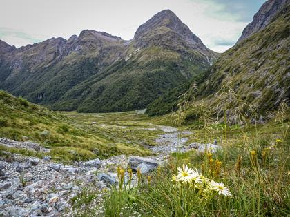 The head of Hut Creek
