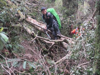 Yenfei leaping elegantly over the log (Photo credit: Henry)