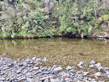 Swimming hole #2 upriver from Oamaru Hut. Deceptively deep and refreshingly cool!