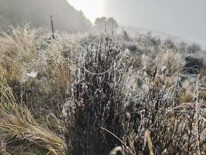 Admiring one spider’s handiwork as we head up the Harkness Valley.