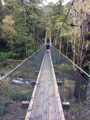 Bridge on the track to Atiwhakatu.