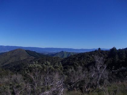 hills