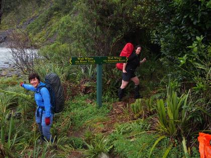 indecision at Totara