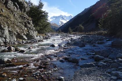 Bush Stream, Canterbury