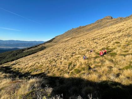 Somewhere on this hillside is some plane debris from the 1940s. (Photo credit: Emily).