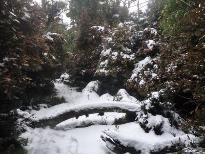 Hiking in a winter wonderland….