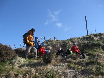 colonial knob