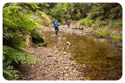 Walking the short distance back up Turere Stream to the falls