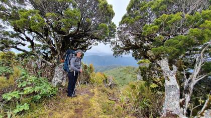 Tramper in the Ruahine Ranges