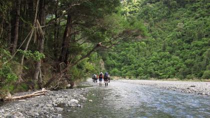 Exploring the Orongorongo Valley