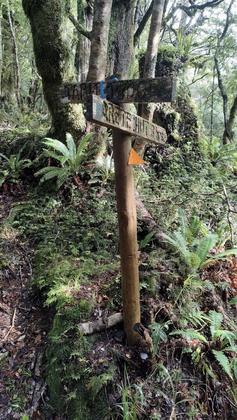 Sign marking the track to Arete Forks Hut (and the other way up to Table Ridge)