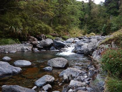 Our swimming hole in the Atiwhakatu