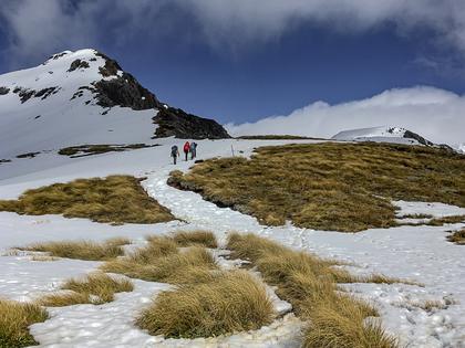 Arthur's Pass
