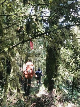 Good ground trails marked by the occasional ribbon. Photo credit: Caryl