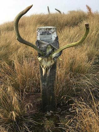 Creative Geodetic marker atop Mount Dundas