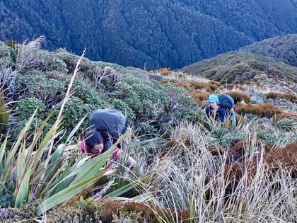 Battling through Leatherwood on North King Spur