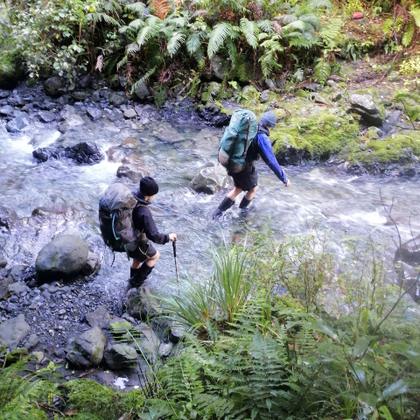 Oruakeretaki Stream