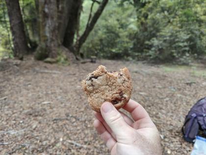 The first cookie stop of the day.