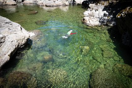 Doggy paddling across the Waiohine Gorge below Mid Waiohine Hut