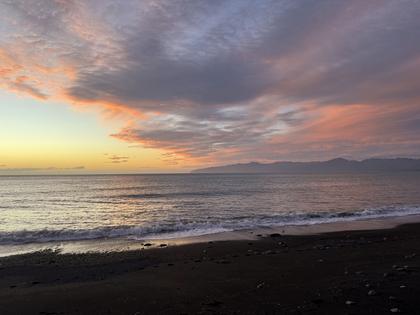 Palliser Bay