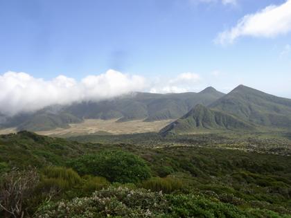The light brown flat area ahead is Ahukawakawa Swamp