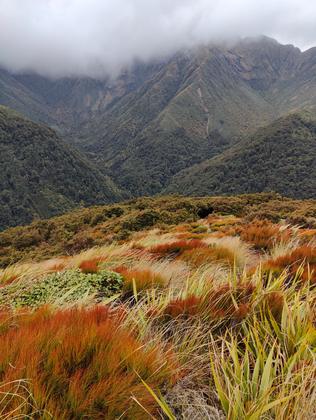 Right of centre a gap in the trees marks the start of the track down to Arete Forks Hut. Photo credit James.