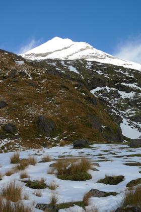 image6 Murray Sutherland Taranaki (3)