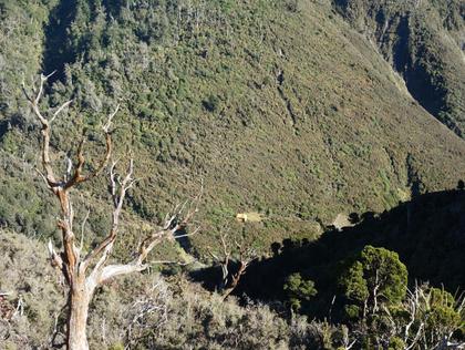 Cattle Creek Trip 1
