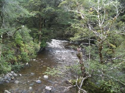 Mt Holdsworth day walk