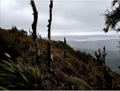 View from Clay Ridge