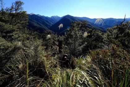 Tramper in Ruahine Ranges