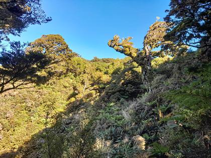 Remutaka Range