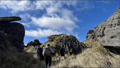 Pt 1206 Mangaohane Plateau