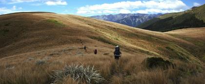 Heading up to Mole Saddle