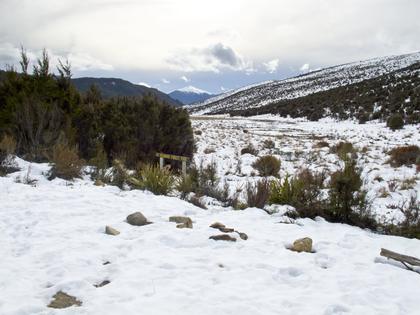 North from outside Red Hills Hut