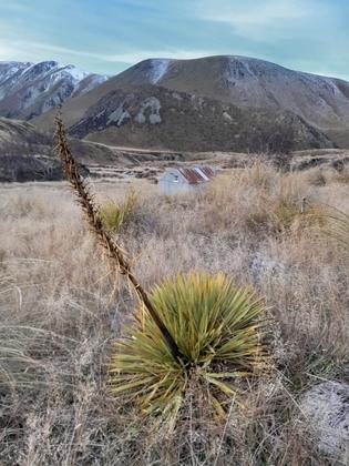 Spaniard and Boundary Creek Hut
